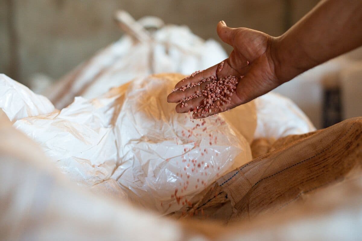 Russia Caps Fertilizer Exports Till December in Global Crunch