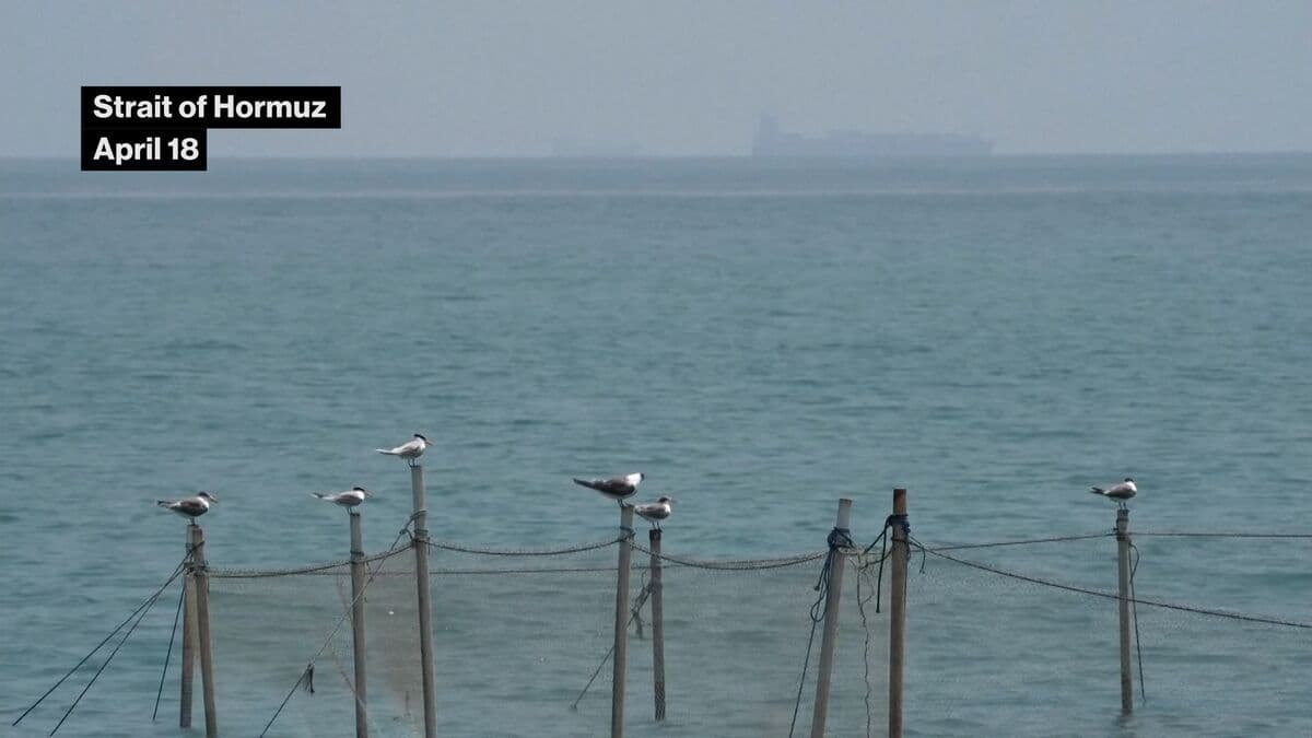 Strait of Hormuz Shut, US Blockade Intensifies, and Gunfire Reported