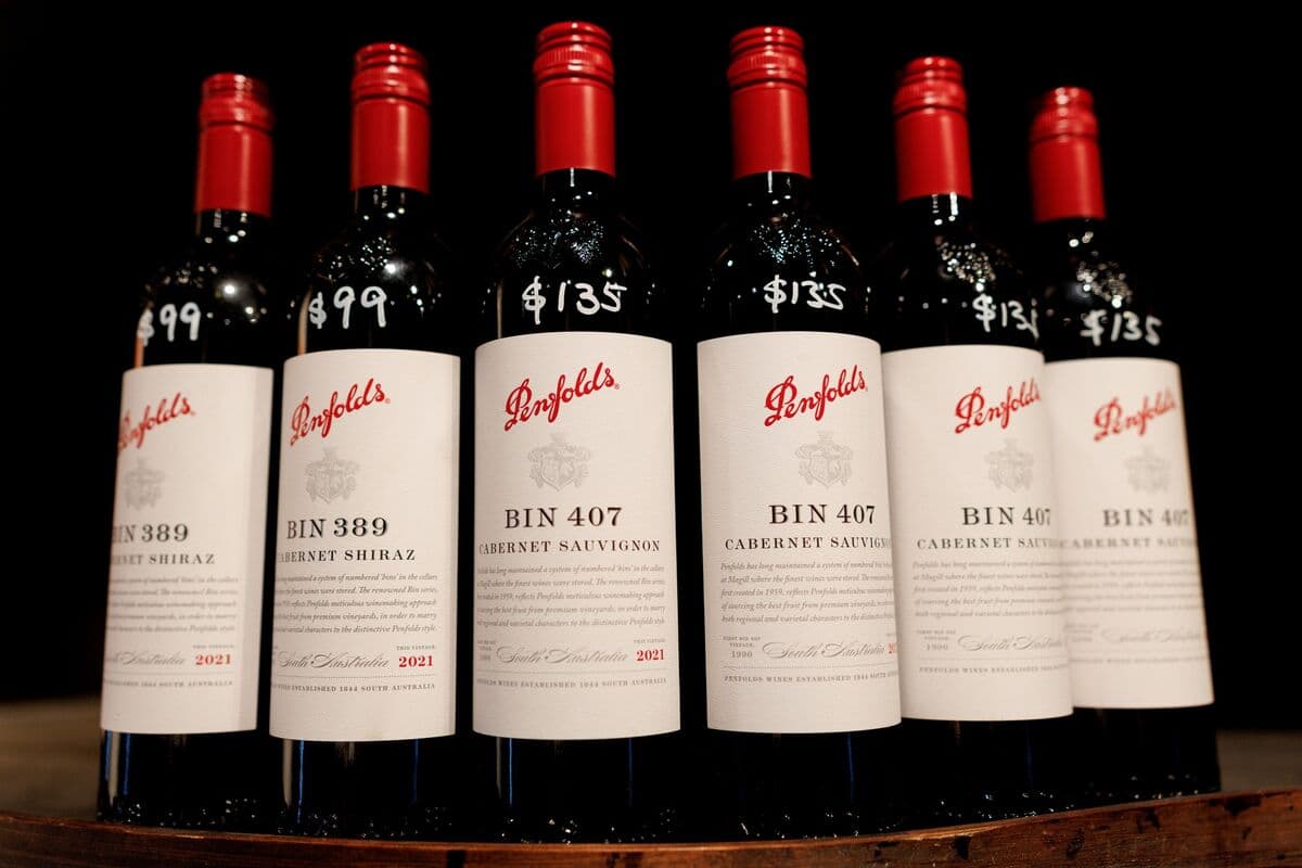 Treasury Wine Flags Lower Earnings and Focus on Luxury Market