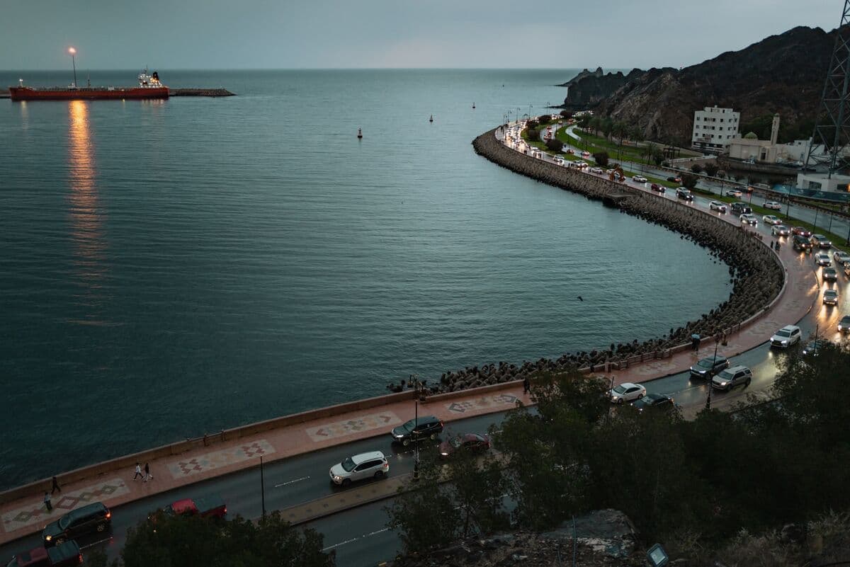 Three Ships Appear to Enter Hormuz by New Route Along Oman Coast