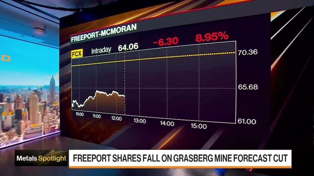 Freeport Shares Slide as Indonesian Mine Restart Faces Delay