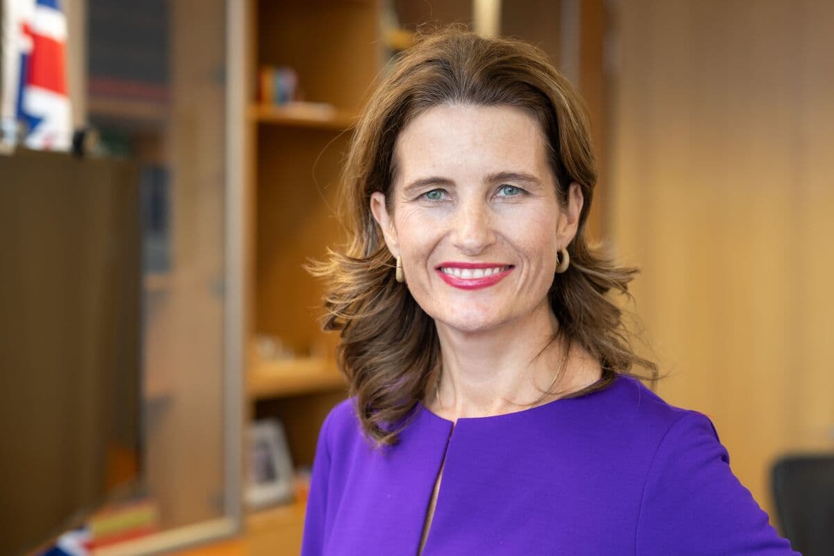 NZ Finance Minister Says Economic Recovery Delayed, Not Derailed