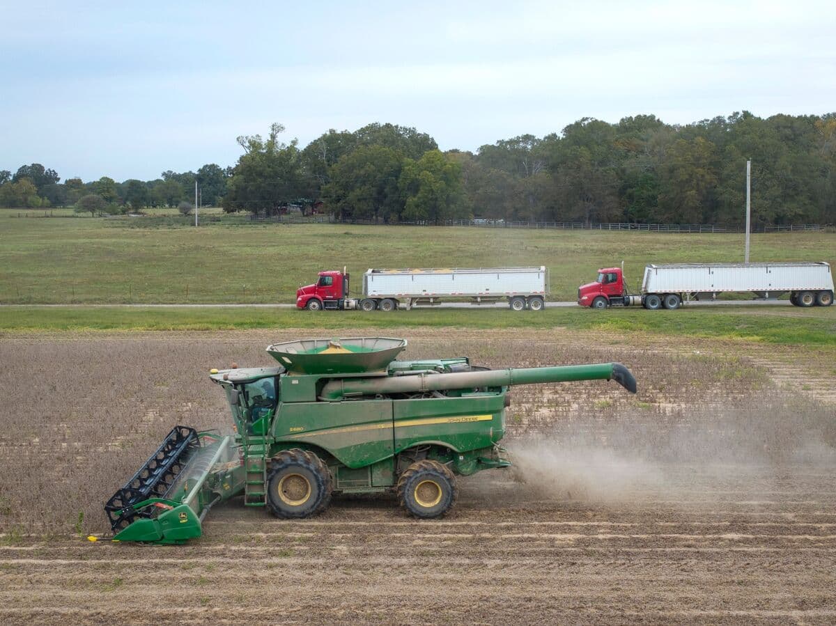 US Soy Growers Want China Commitments as Season Slips Away