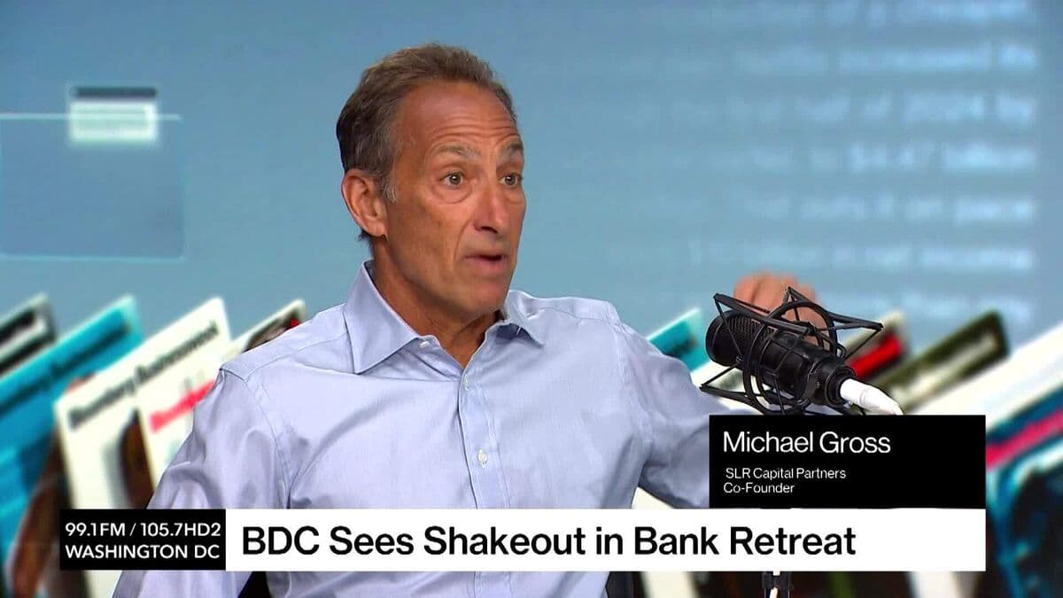 Private Credit Experiencing 'Growing Pains,' SLR Capital Partners' Co-CEO Gross