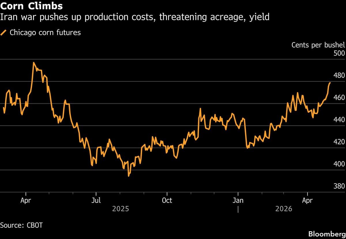 Corn Extends Gains as War Premium Ignites Broad Crops Rally
