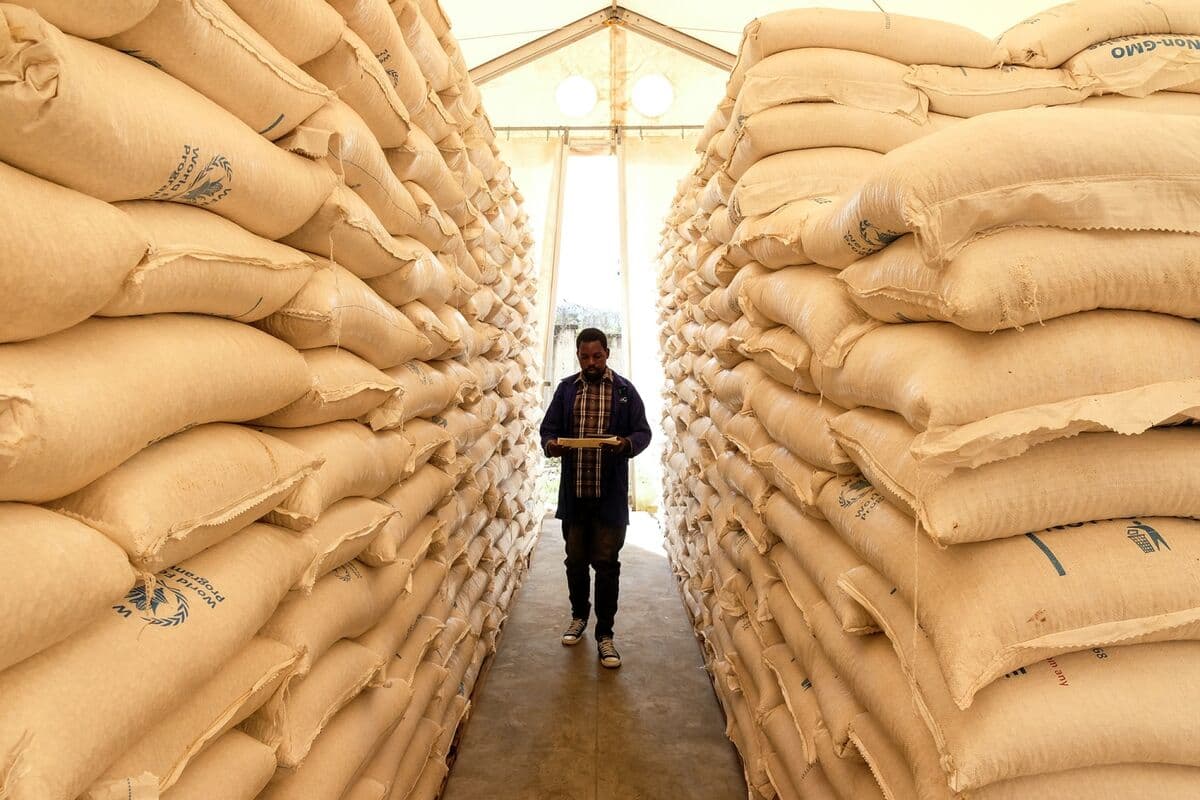 UN Warns of Food Risks From Fertilizer, Energy Trade Curbs