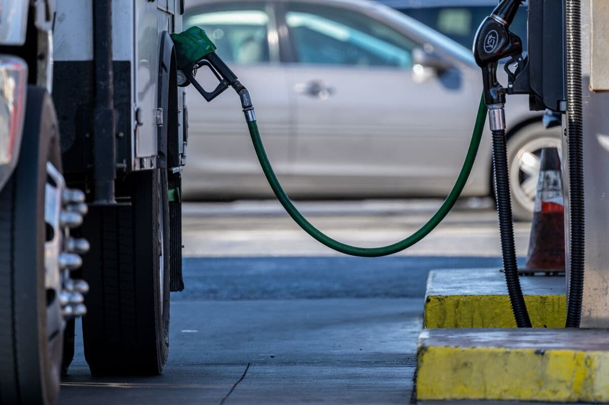 Treasuries Gain With Stocks as Oil Falls in Wake of PPI Data