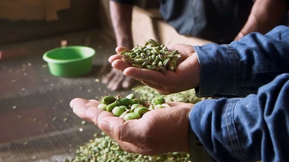 Spice Company Wins Suit Over 10% Trump Global Tariffs