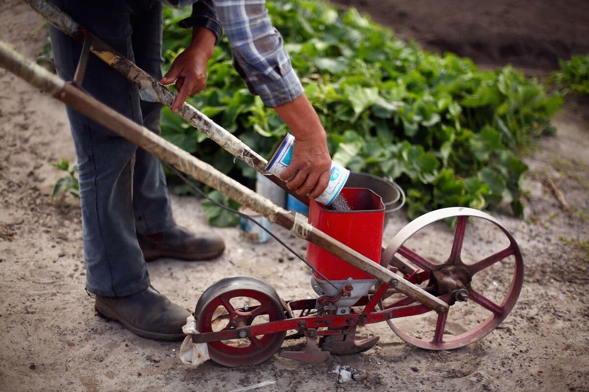Australia Acts to Secure Urea Amid Supply Risk From Iran War
