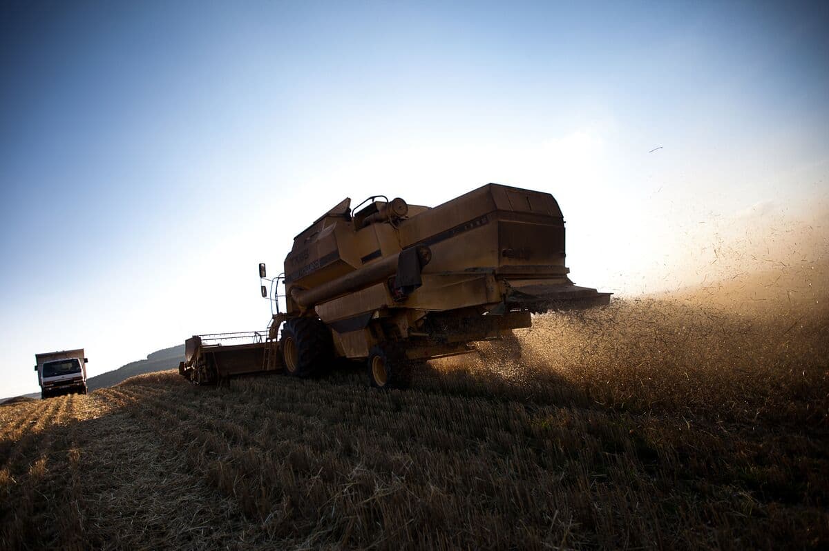 Kenya Plans $772 Million Green Bonds to Boost Agriculture Output