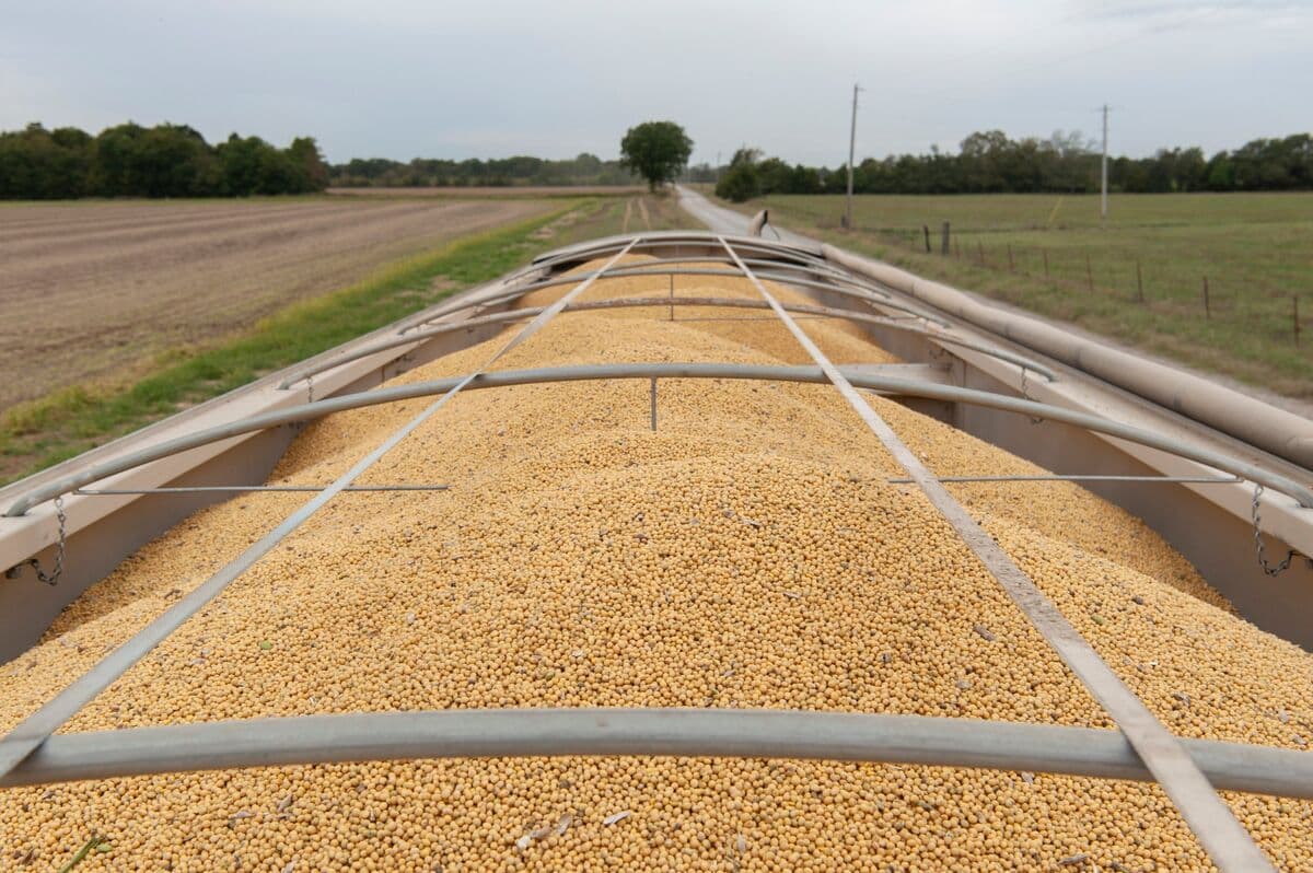 Grain, Oilseed Prices Fall as Traders Look for End to Iran War