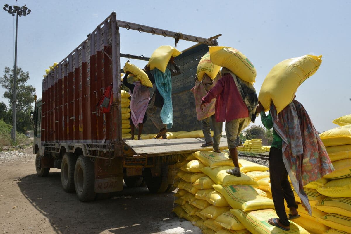 India Issues Tender to Import Fertilizer Ahead of Monsoon Sowing