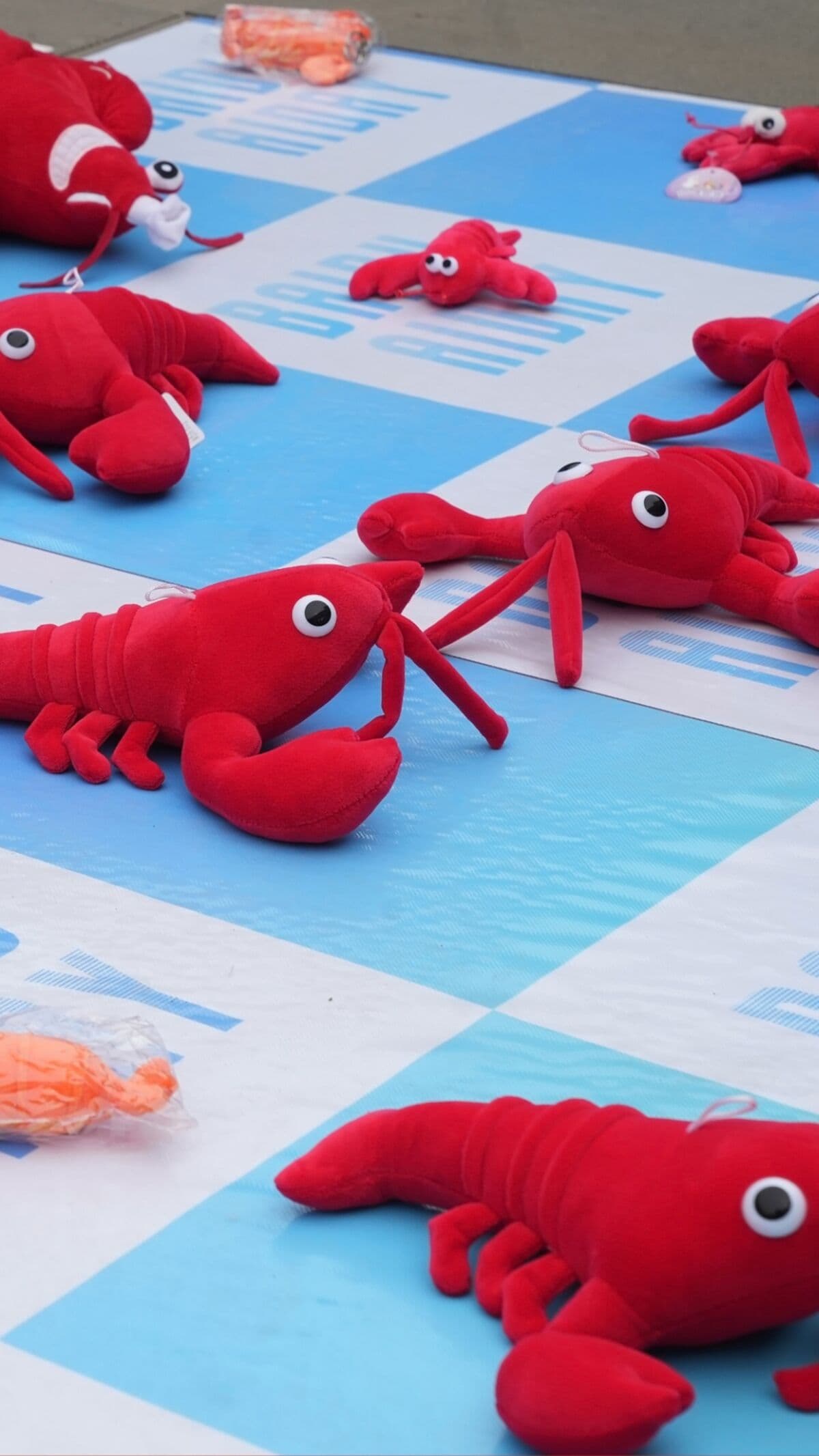 Meet OpenClaw: The AI Craze Sweeping China