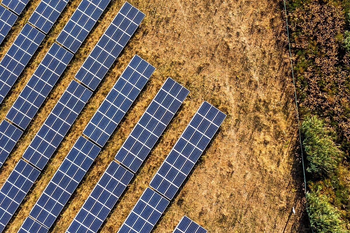 Record French Solar Power Output Pushes Prices Below Zero