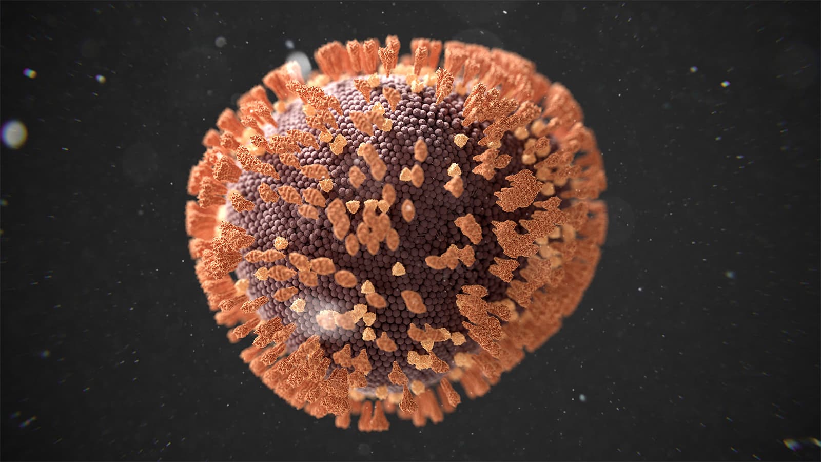 U.S. Scientists Sequence 1,000 Genomes From Measles, a Disease Long Eliminated