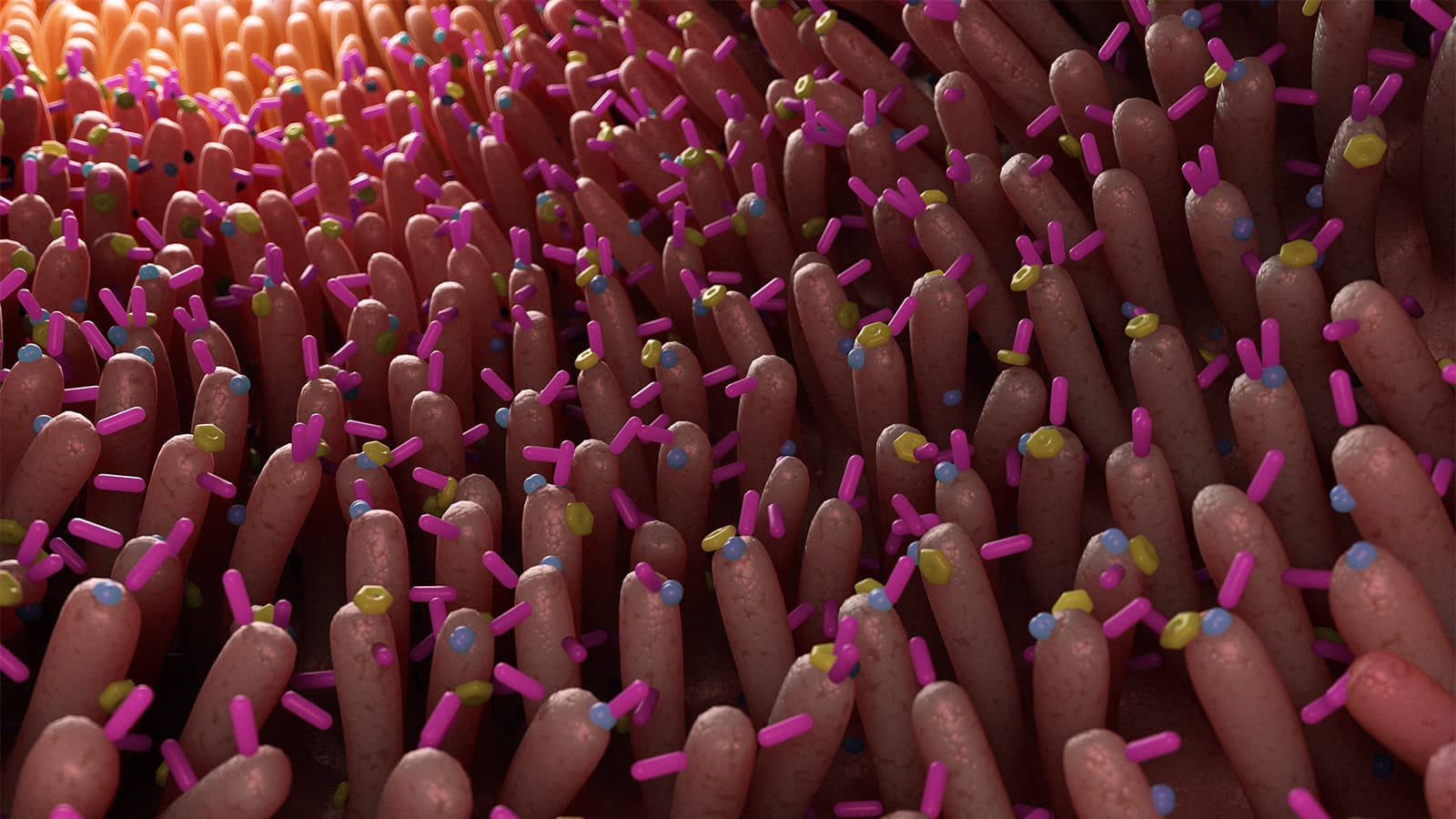 Six Gut Markers May Identify Early Cognitive Decline