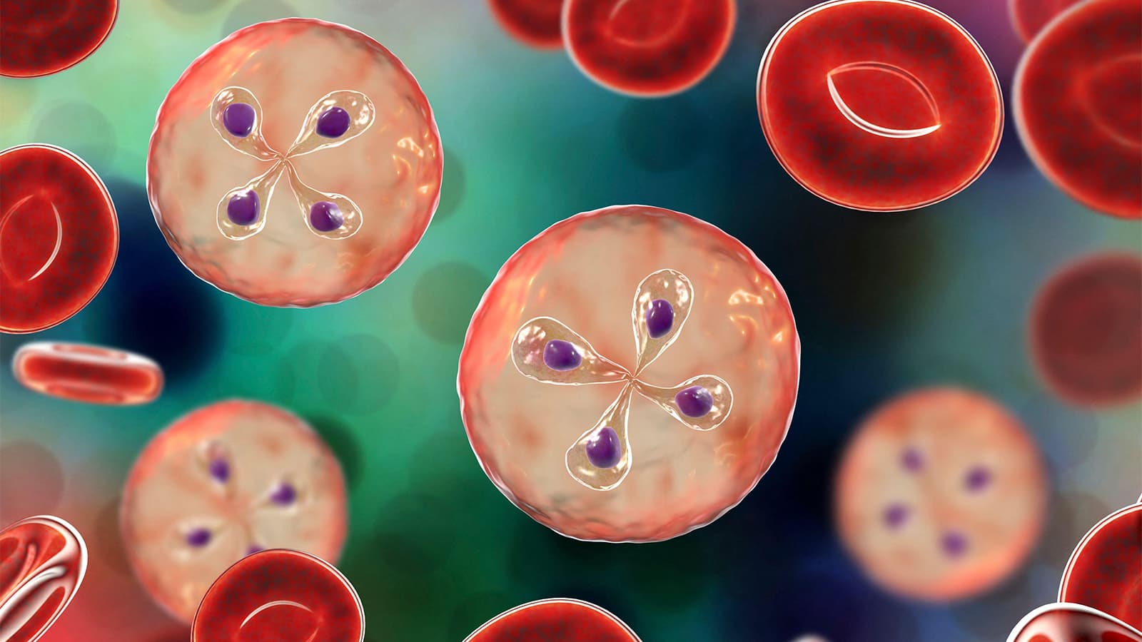 Therapy Linked to Lower Death Risk in Serious Tick-Borne Illness