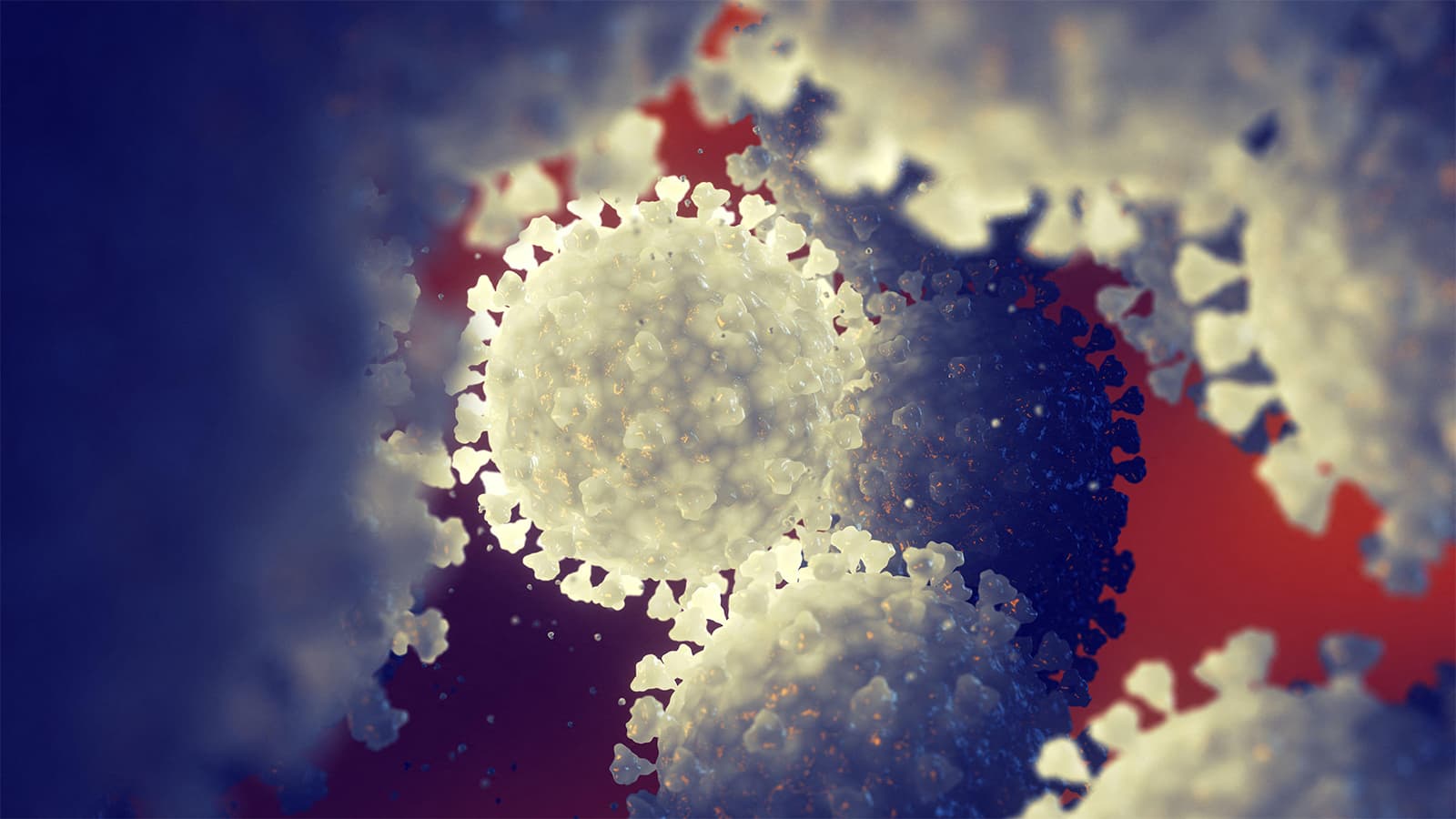 A 'Ring Strategy' for Bird Flu