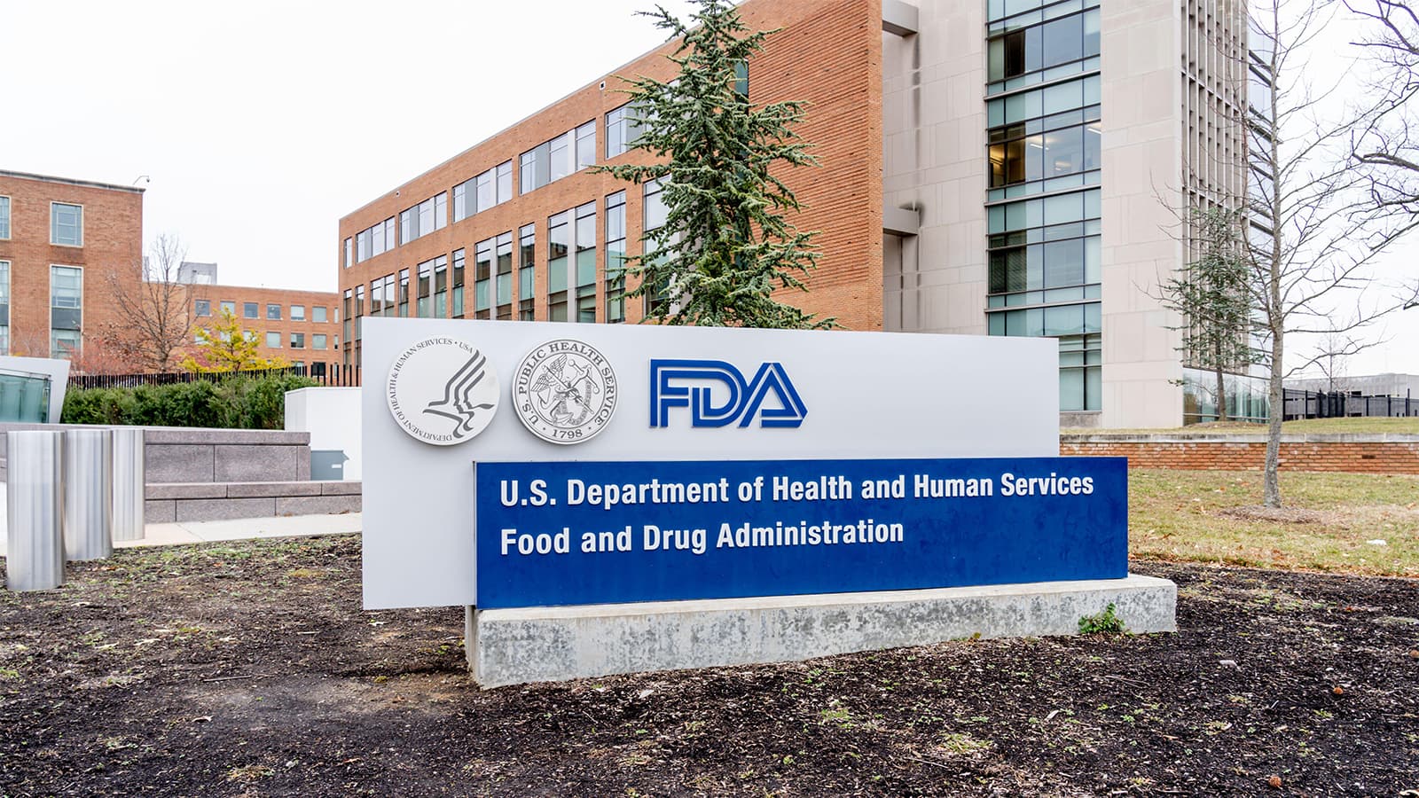 FDA, CMS to Launch Speedy Coverage Pathway for Breakthrough Medical Devices