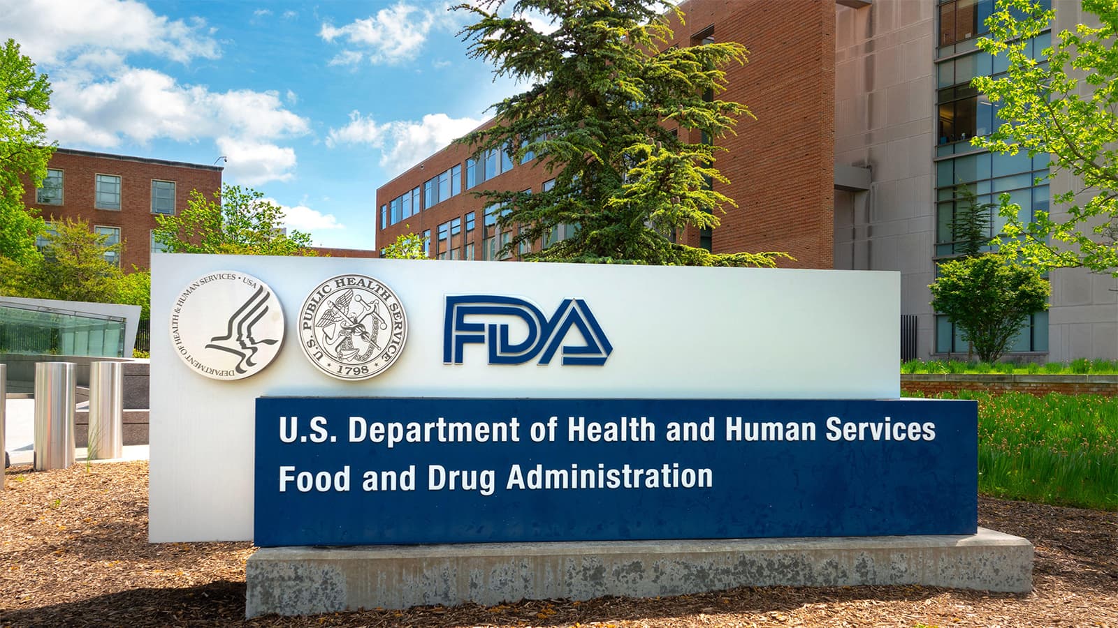 FDA Staff Raises Concerns on Two Cancer Drug Applications