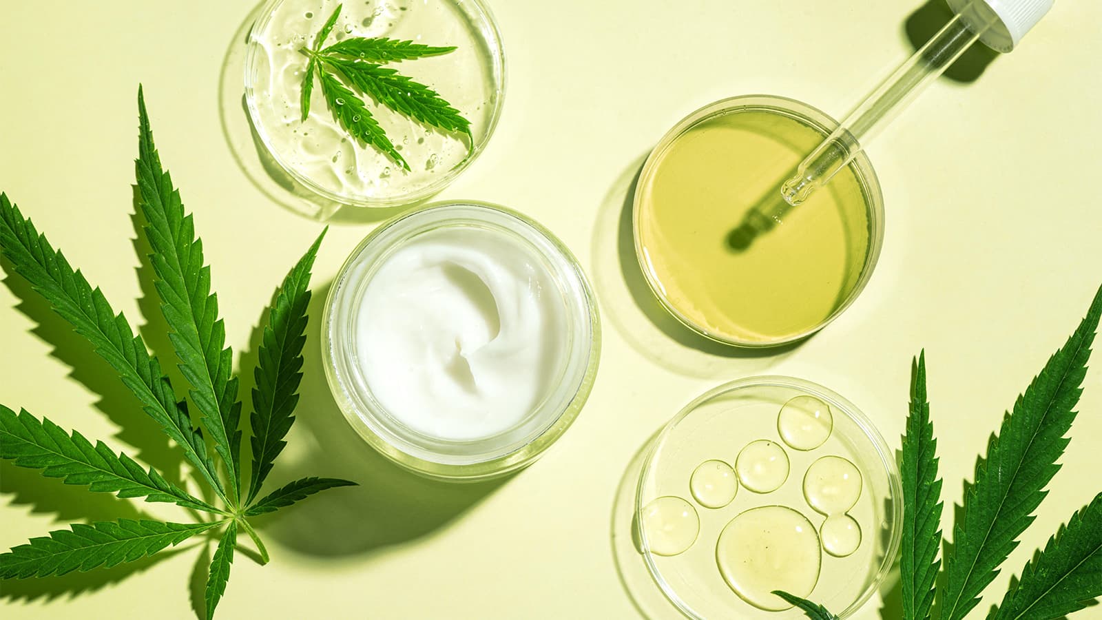 What to Know About Medicare's Hemp-Derived Product Program