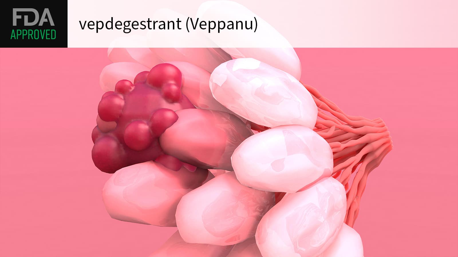 First-in-Class Vepdegestrant Approved in Advanced Breast Cancer