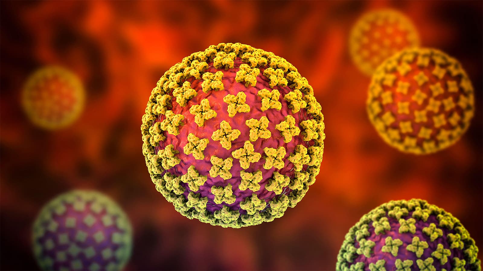 Hantavirus That Can Spread Between Humans May Be Involved in Cruise Ship Outbreak