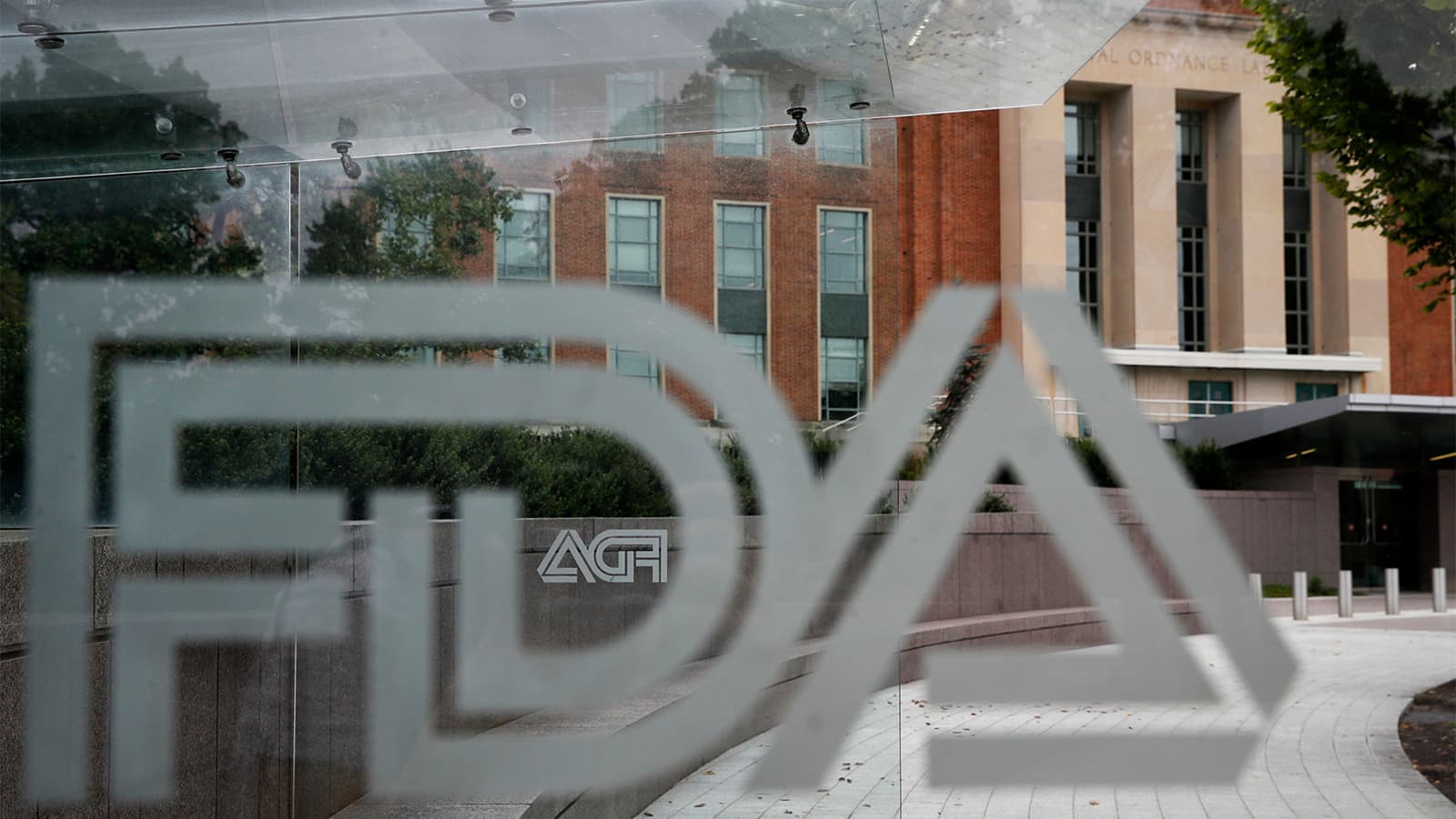 FDA Allows First Fruit-Flavored Vapes in Major Shift Under Trump