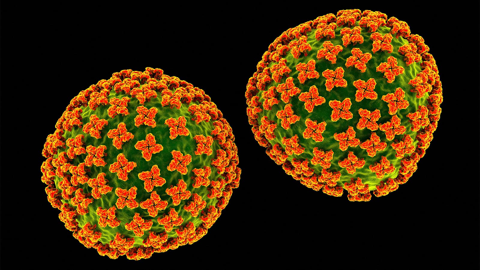 Hantavirus Outbreak: 'Not the Next COVID' but Still Cause for Concern