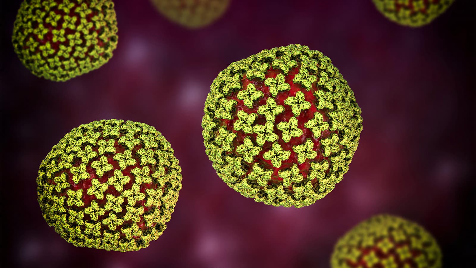 Here's Where Hantavirus Has Historically Occurred in the U.S.