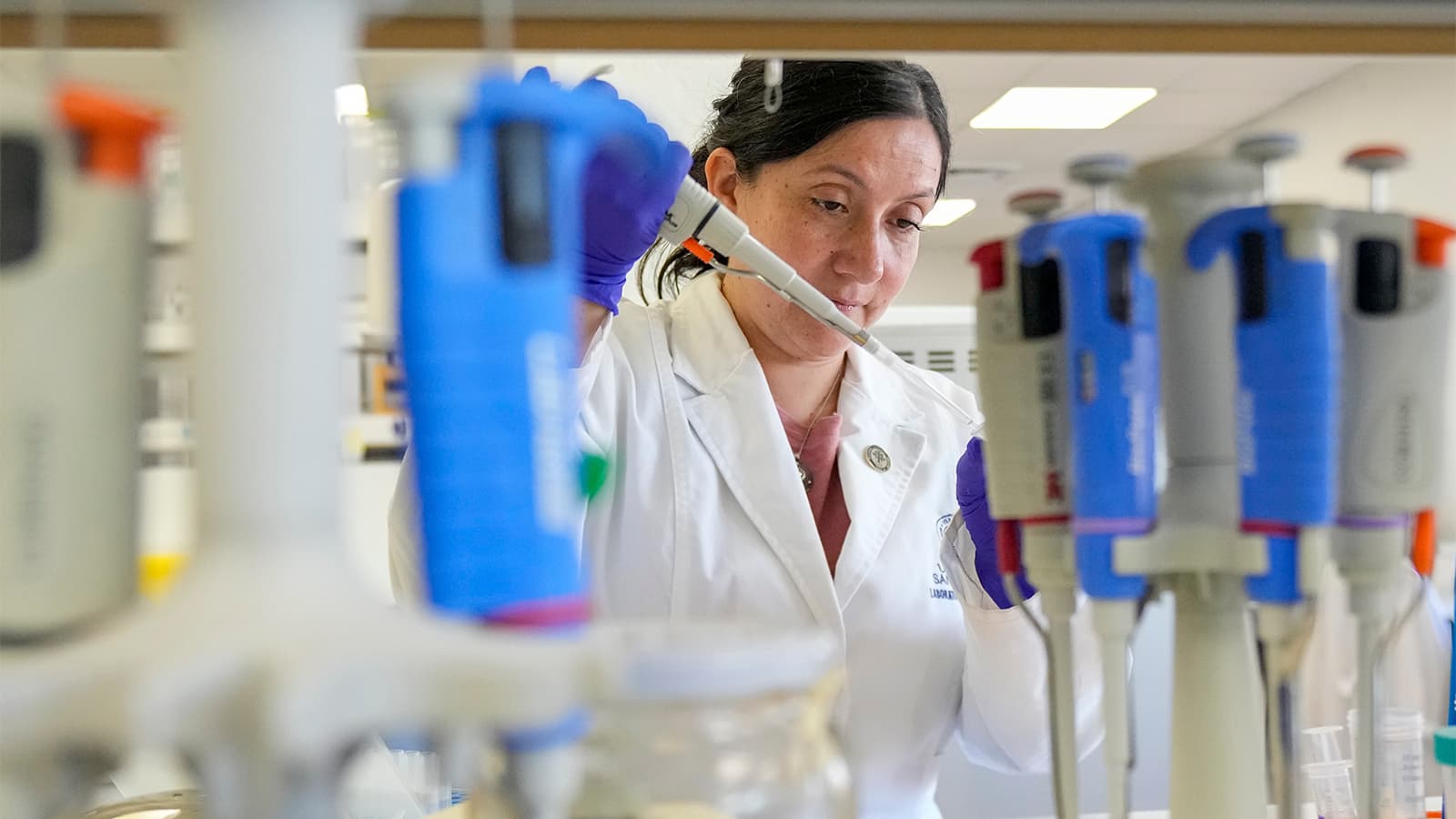 Tools to Fight Hantavirus Show Promise Despite Limited Funding