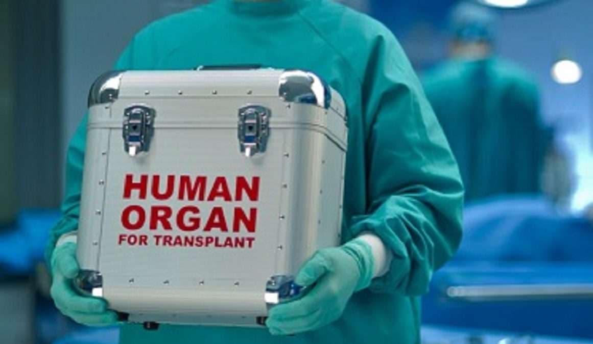 Nobel Prize-Winning Economist Alvin Roth on Organ Markets