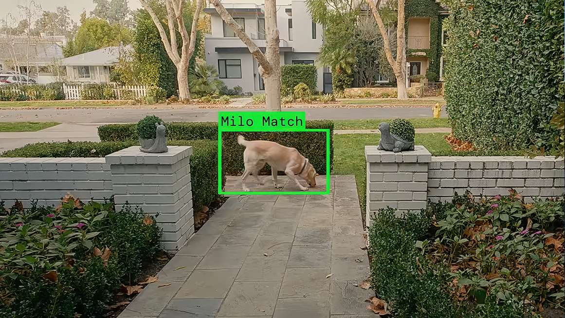 Photo: Ring Calls Off the Search Party