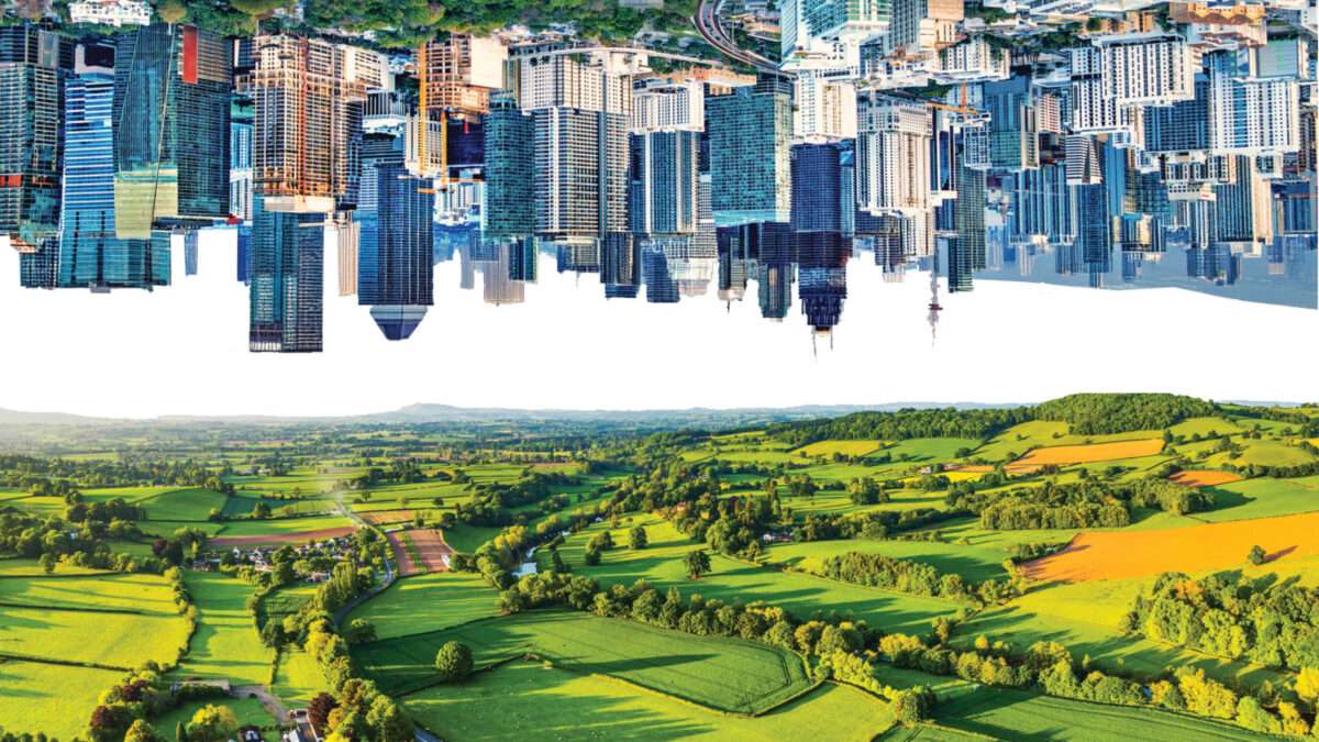 What Does the New Right Believe?