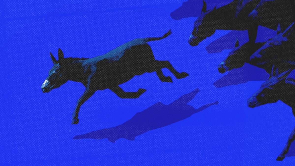 Graham Platner Signals a Problem for Democrats, and the Rest of Us