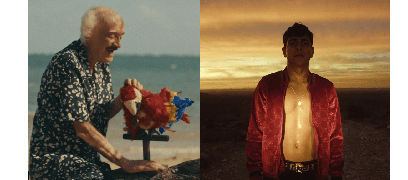 ‘On The Road’ And ‘The Old Man And The Parrot’ Among Top Winners At Miami Film Festival