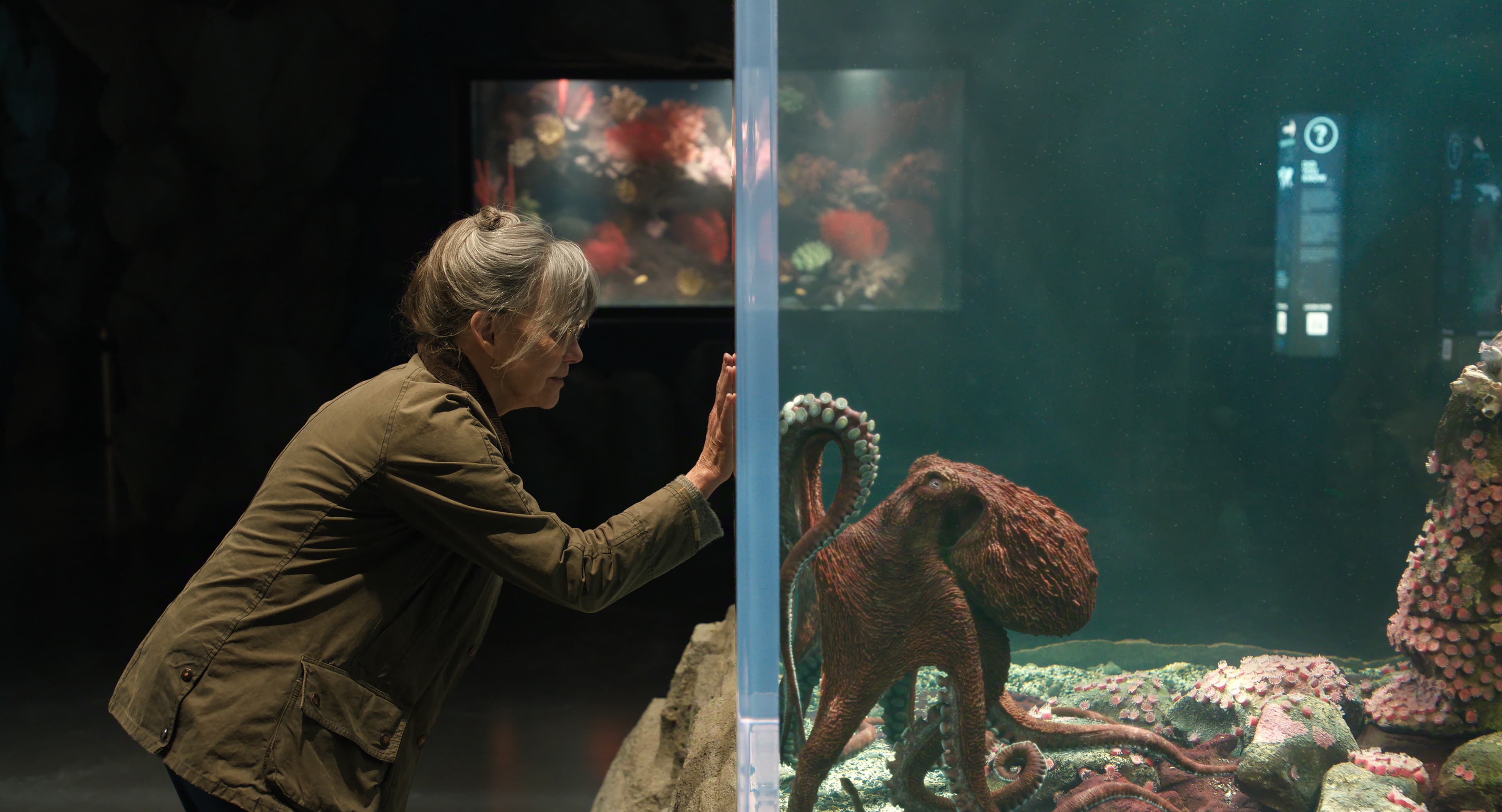 ‘Remarkably Bright Creatures’ Review: Sally Field  And Lewis Pullman Bond Over A Cranky Octopus In Funny, Wise And Moving Book Adaptation