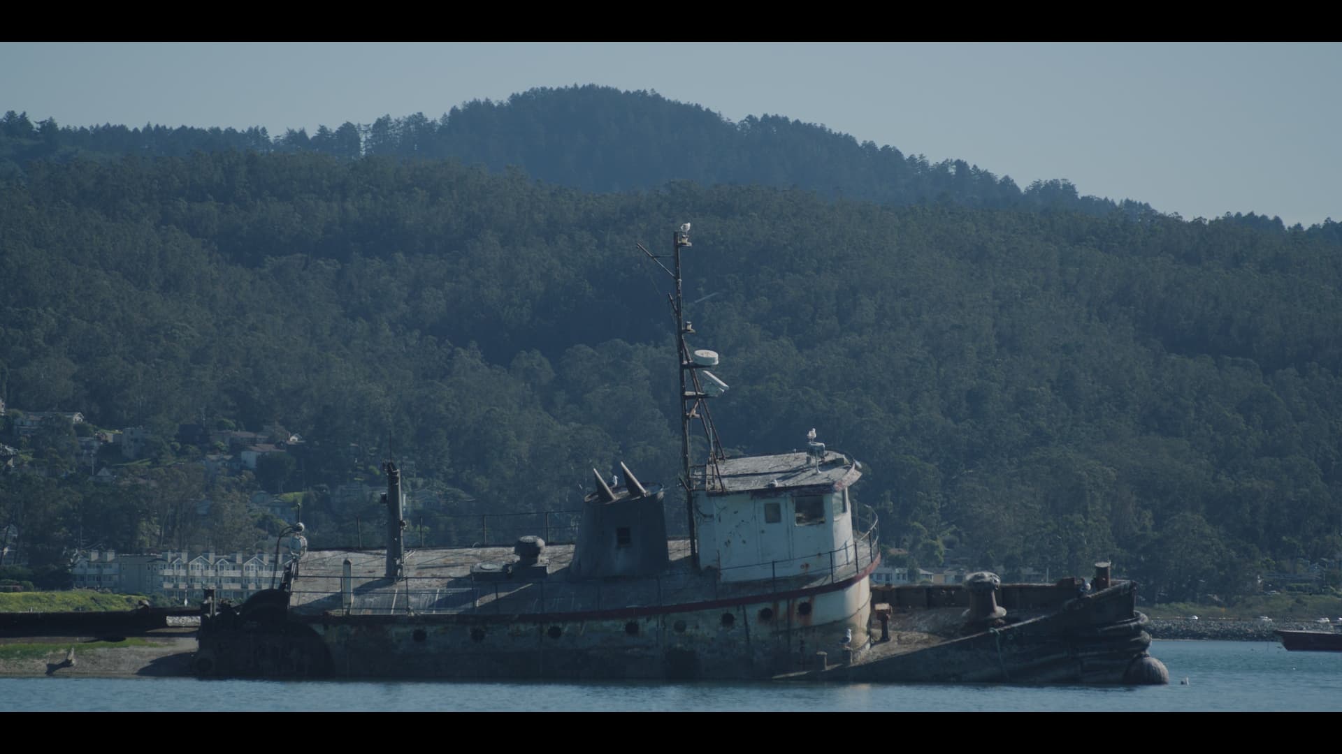 Zizians Docuseries Set At HBO