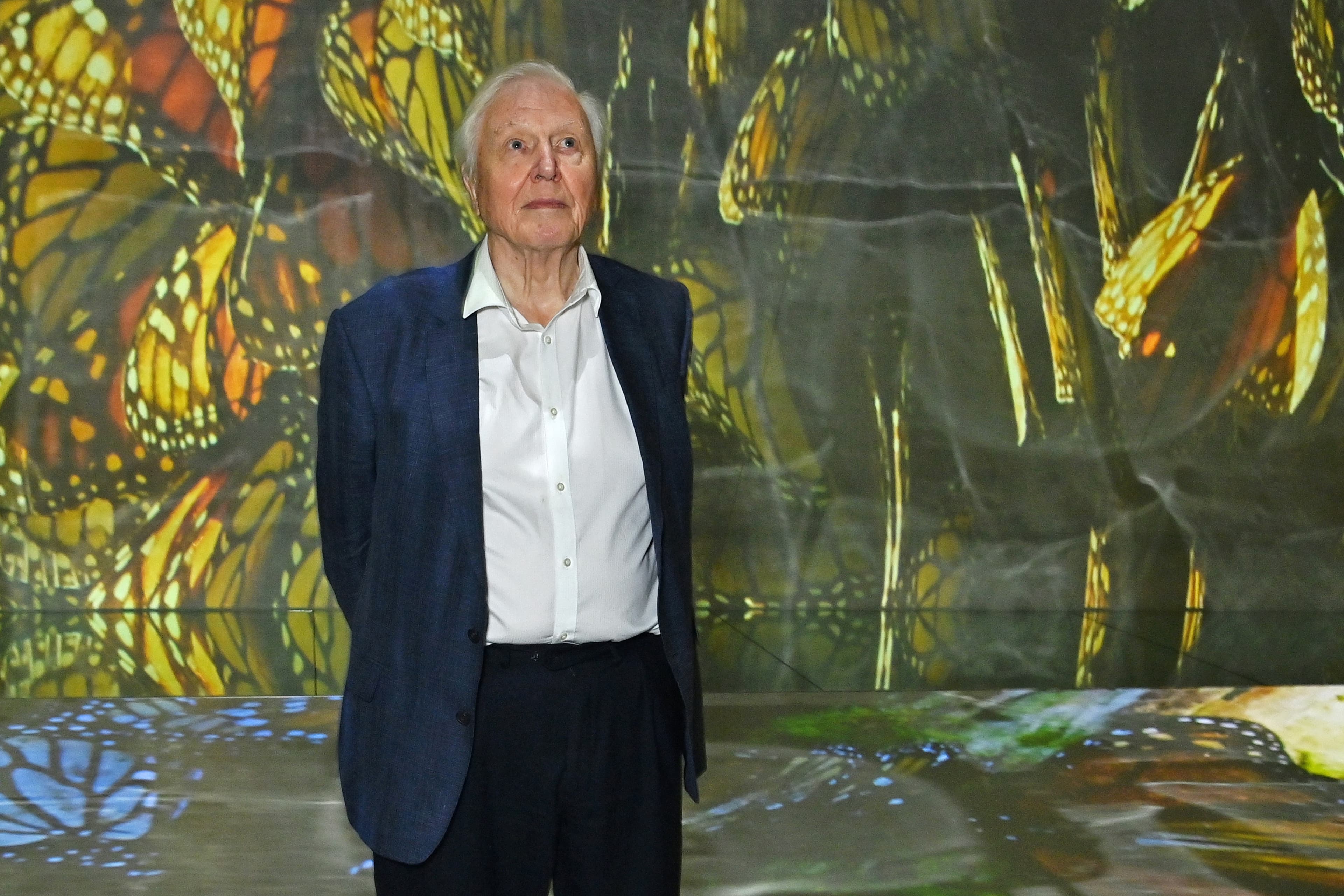 David Attenborough Turns 100: Wildlife Supremo Celebrated By King Charles III, Camila Cabello & Paddington Bear