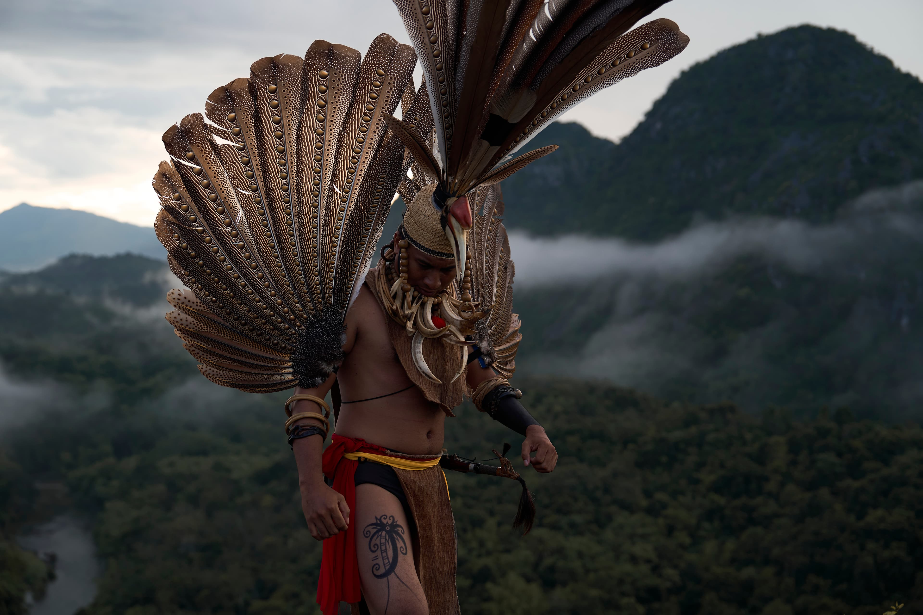 Former AMPAS Prez Janet Yang & Rai Cinema Among Producers Of Borneo Rainforest Doc ‘Shinta’ — Cannes Market