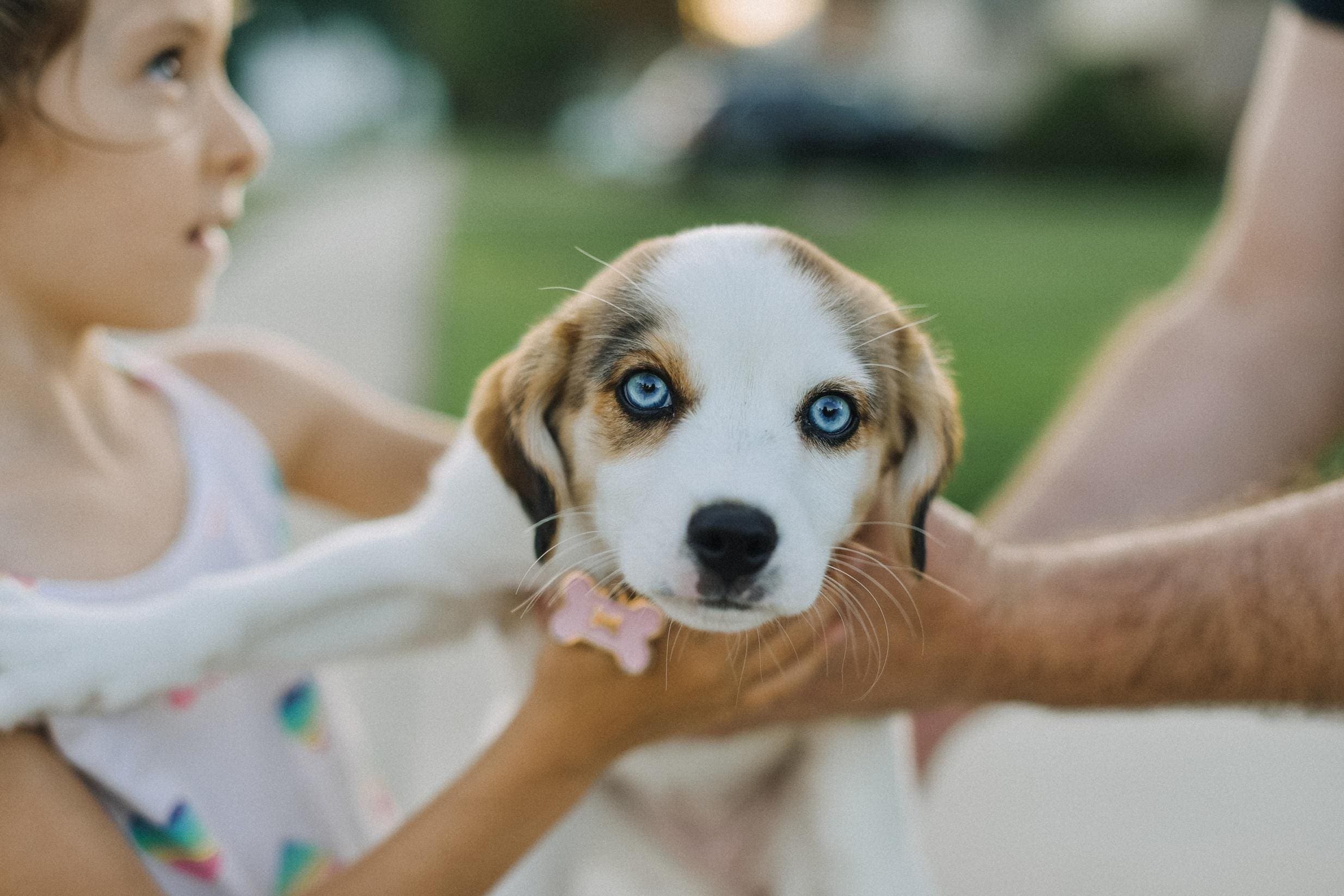 It’s Dog Bite Prevention Week. Here’s What Parents Need To Know