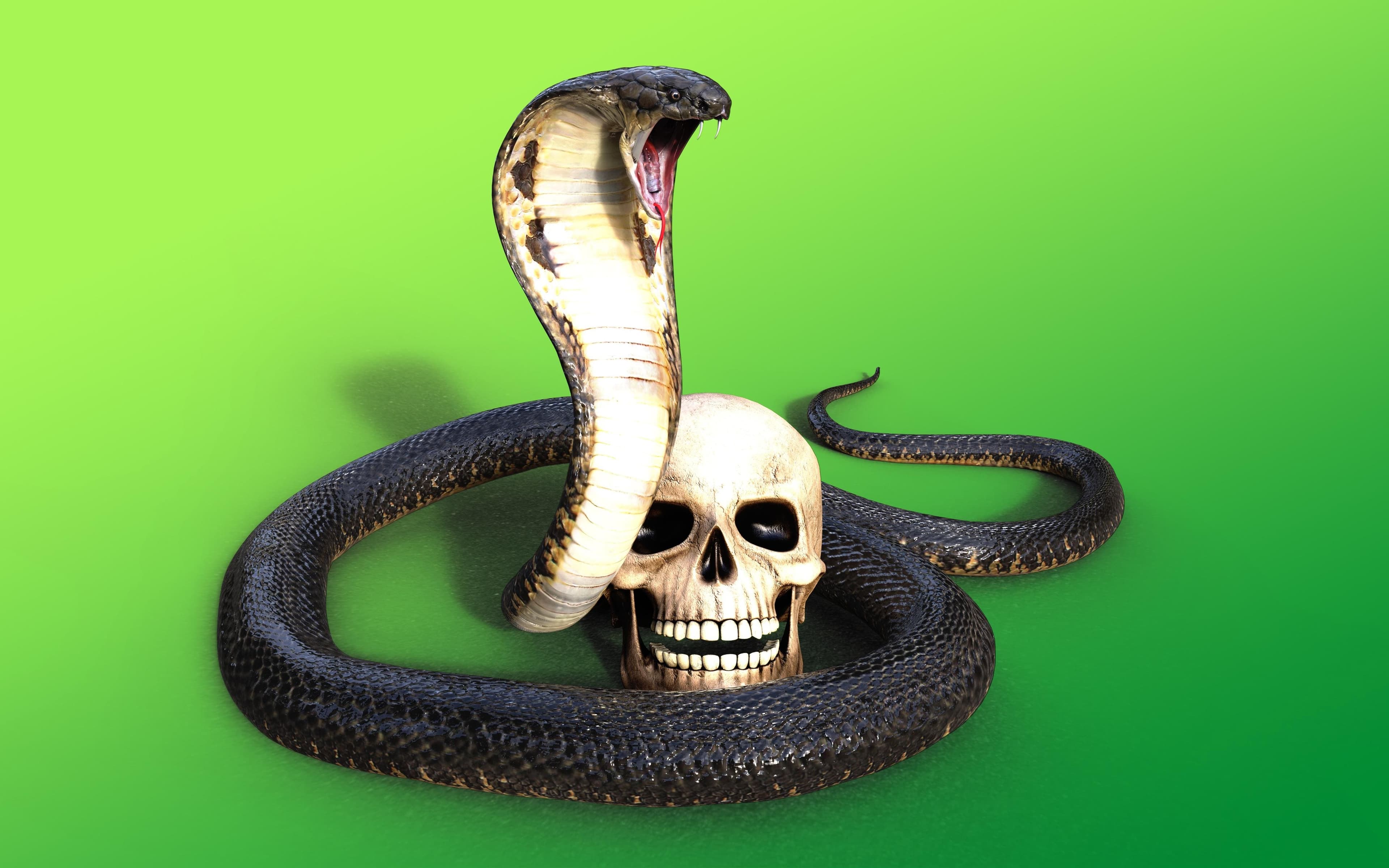 Microsoft SharePoint Venom Attack Targets C-Suite Executives By Name