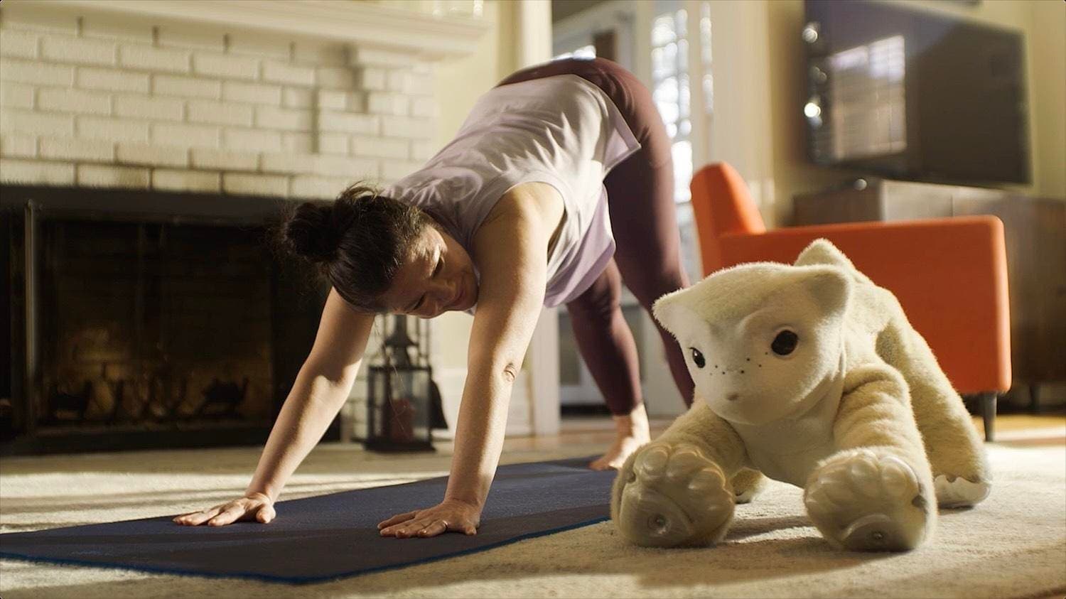 Roomba Inventor Reveals New Home Robot ... Not A Humanoid