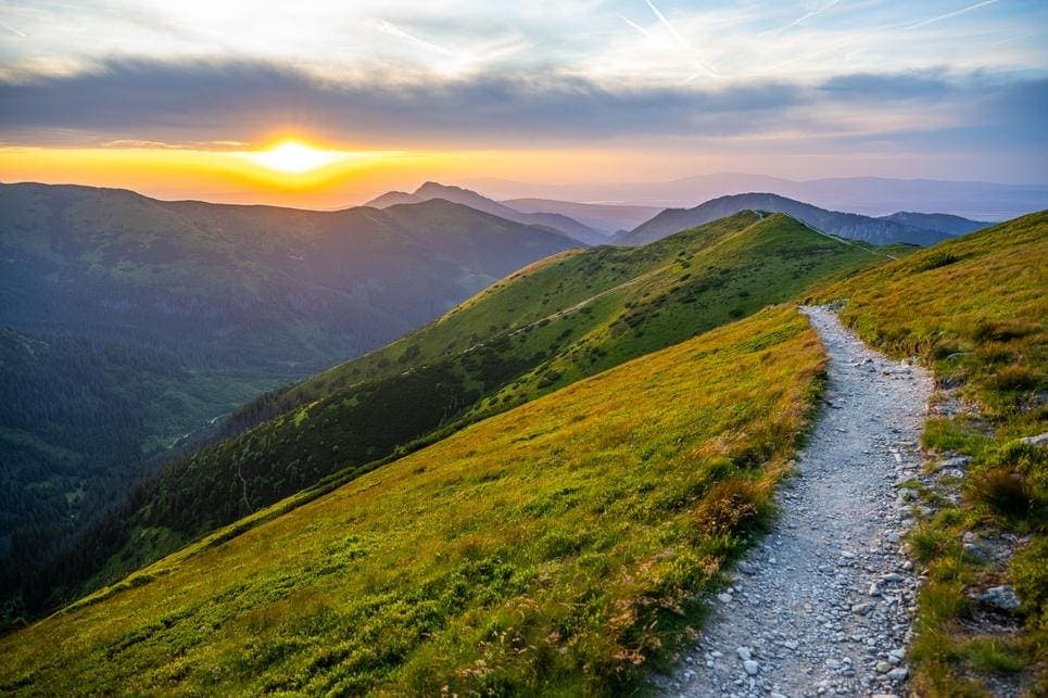 3 Steps Not To Ignore In Nature Plans