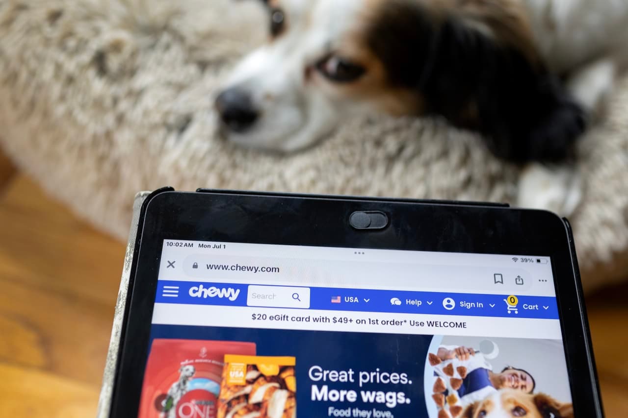 Watch for these 21 best-in-class stocks to keep powering the tech rally, analysts advise