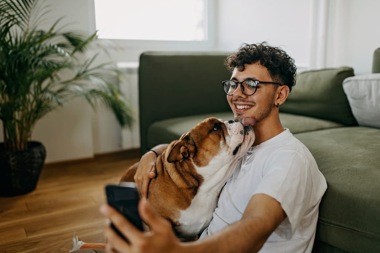 ‘I know end-of-life stuff can be expensive:’ How much money should I expect to spend on care for my senior bulldog?
