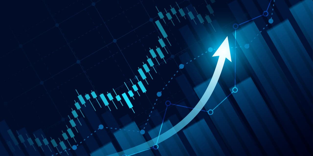 20 growth stocks priced as value stocks