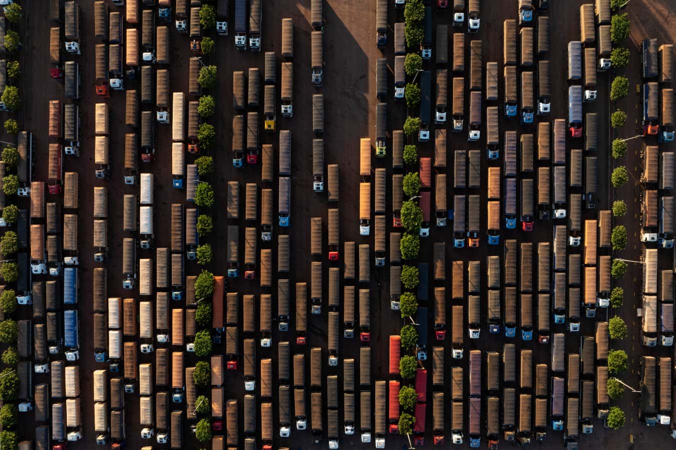 Stark photos show quest for profit cutting swathes through the Amazon