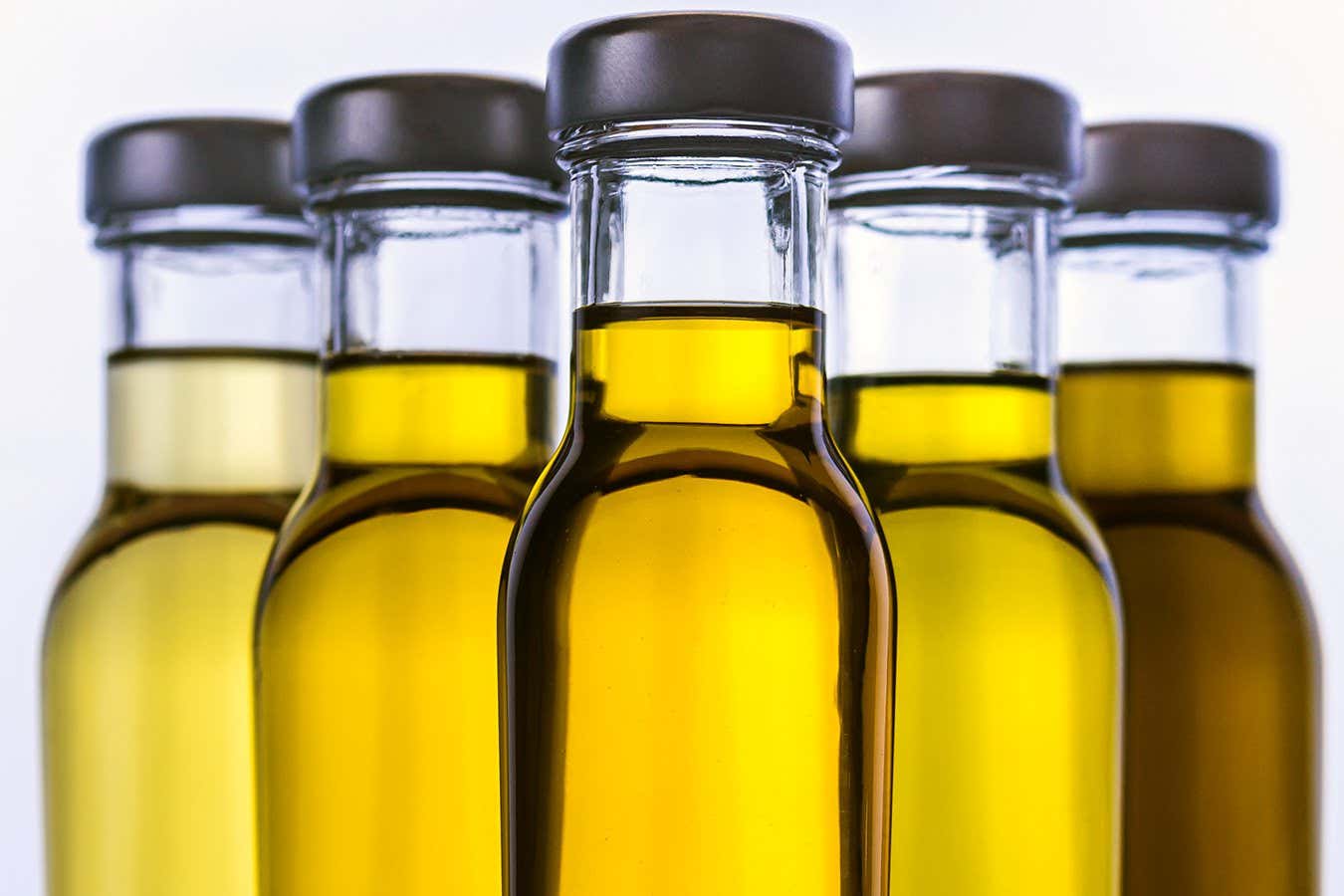 What kind of olive oil is best for the brain?
