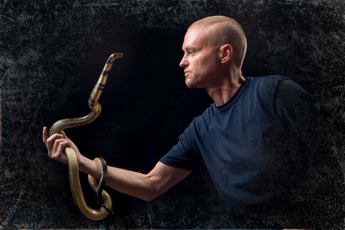 I have been bitten by more than 200 snakes – on purpose